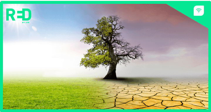 Red by SFR se met au vert