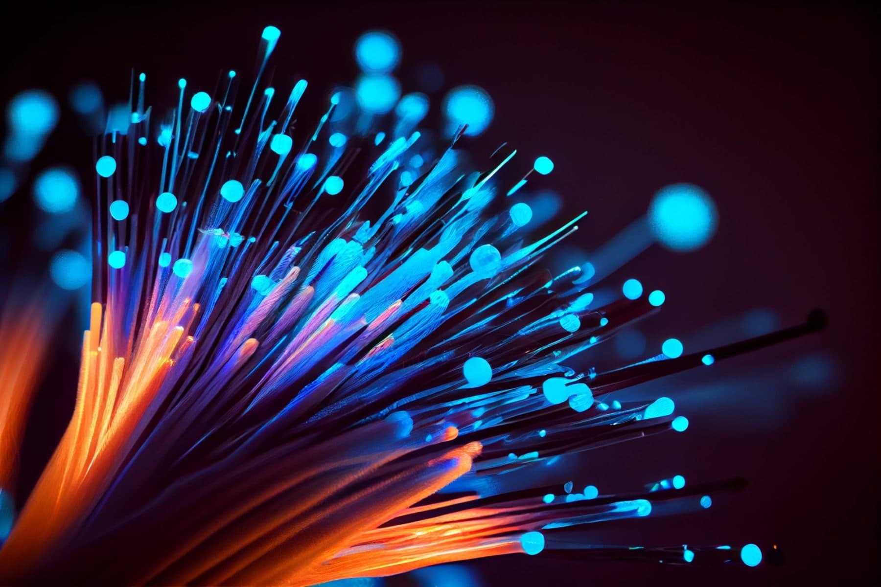 Les petites entreprises réticentes face à la fibre