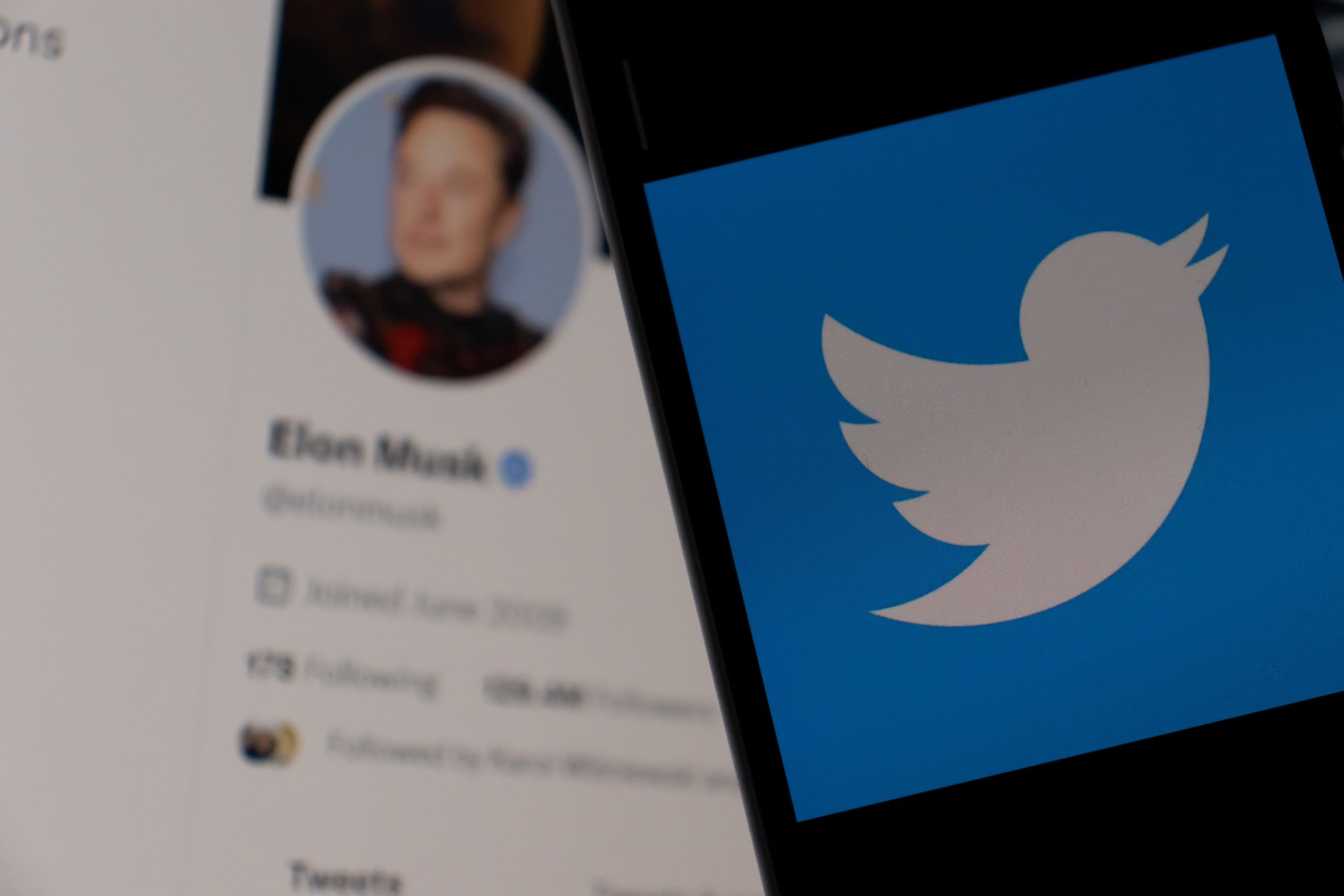 Twitter sous Musk : le réseau social pourrait y laisser des plumes